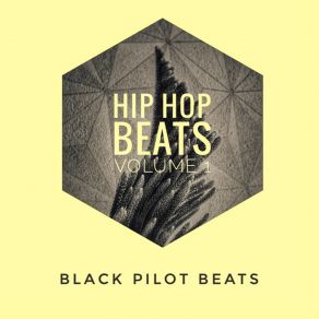 Download track At The Club (Instrumental) Black Pilot Beats