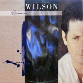 Download track Night Time (Instrumental)  Brian Wilson