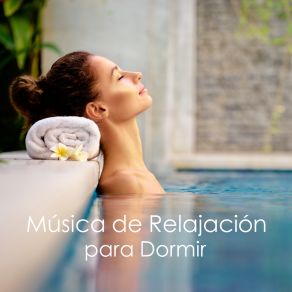 Download track Música Tranquila Para Leer Músicas Relajantes