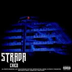 Download track Serpi Chico