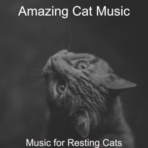 Download track Piano Jazz Soundtrack For Cats Amazing Cat Music