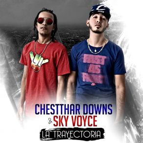 Download track Lo Haré Sky Voice