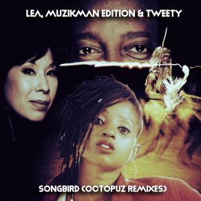 Download track Songbird (Octopuz Deeper Remix) Muzikman Edition