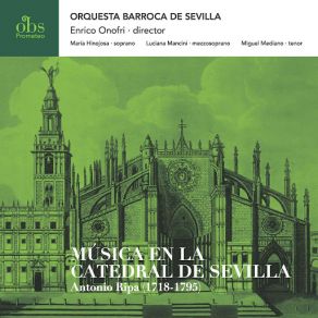 Download track Lamed For Soprano, 2 Oboes / Flutes, 2 Horns, Strings & B. C.: Plauserunt Super Te Orquesta Barroca De Sevilla