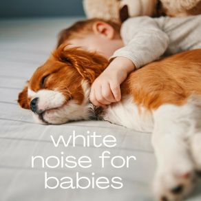 Download track Pure Baby White Noise (Loopable With No Fade) Background White Noise