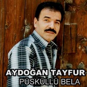 Download track Püsküllü Bela Aydoğan Tayfur