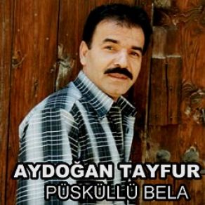 Download track Sen Aydoğan Tayfur