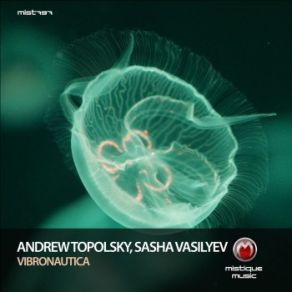 Download track Go In The Light Andrew Topolsky, Sasha Vasilyev