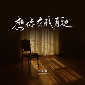 Download track 想你在我身边 苏星婕