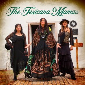 Download track Canción Del Mariachi The Texicana Mamas