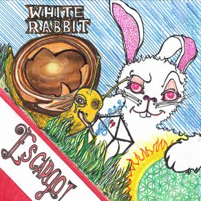 Download track Bill Murray The White Rabbit