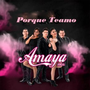 Download track He Sentido Amor Amaya Hnos