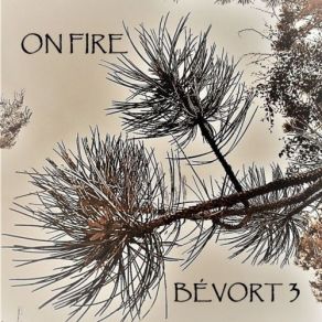 Download track Bévort 3; Pernille Bévort; Morten Ankarfeldt; Espen Laub Von Lillienskjold - LOOZE Bévort 3, Pernille BévortEspen Laub Von Lillienskjold