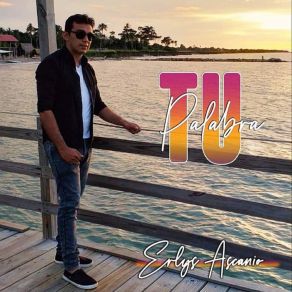 Download track Tú Llegaste Erlys Ascanio