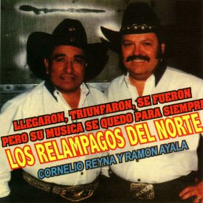 Download track Solo Quiro Los Relampagos Del Norte