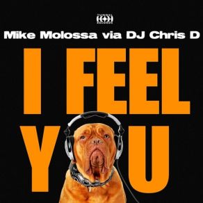 Download track I Feel You (Michael Melody Vs. M Schallmey Hardstyle Bootleg) Mike Molossa Via DJ Chris D