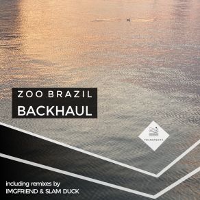 Download track Backhaul (Original Mix) Zoo Brazil