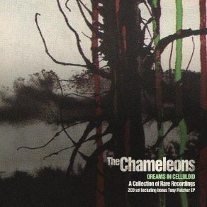 Download track Is It Any Wonder The Chameleons