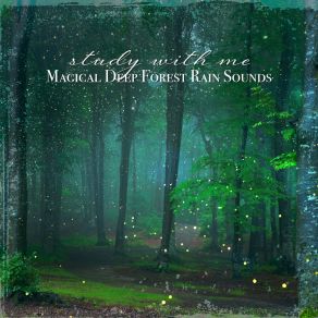 Download track Magical Deep Forest Rain Sounds, Pt. 3 Sebastian Riegl