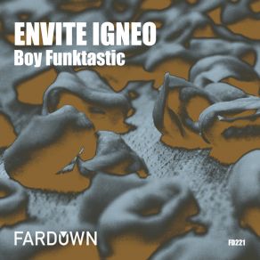 Download track Envite Igneo Boy Funktastic