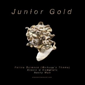 Download track Nasty Man Junior Gold