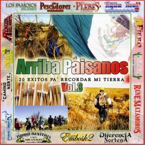 Download track El Ausente Los Pescadores Del Rio Conchos