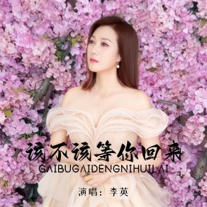 Download track 该不该等你回来 (DJ默涵版伴奏) 李英