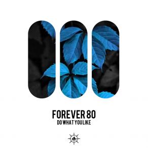 Download track Do What You Like (Extended Mix) Forever 80