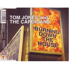 Download track Burning Down The House (Album Version)  The Cardigans