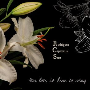 Download track Hechizada (Like Someone In Love) RCS Rodríguez-Capdevila-Sáez