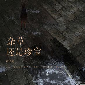 Download track 杂草还是珍宝 青子衿