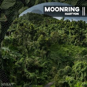 Download track Moonring (Extended MIx) Hartyon