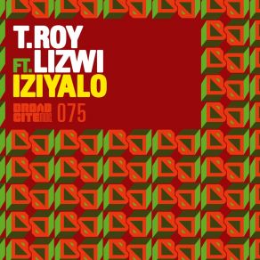 Download track Iziyalo (Cee ElAssaad Voodoo Remix) T. RoyLizwi