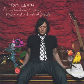 Download track Throw In A T-Shirt Tom Levin