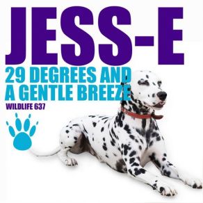 Download track 20 Degrees And A Gentle Breeze Jesse