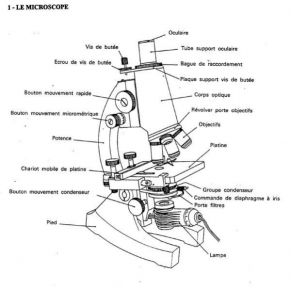 Download track Bass Komarken Electronics