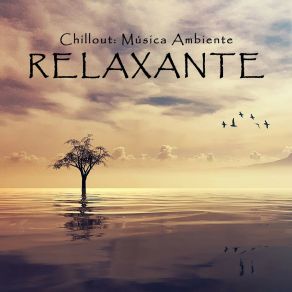 Download track Spa: Chillout Dormir Profundamente