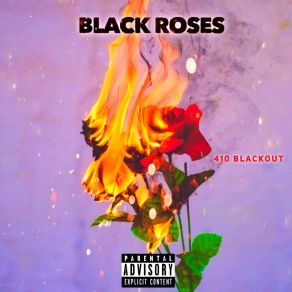 Download track Elegance 410 Blackout