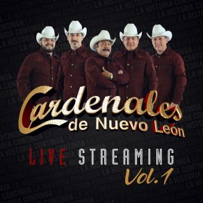 Download track Belleza De Cantina (En Vivo) Cardenales De Nuevo León