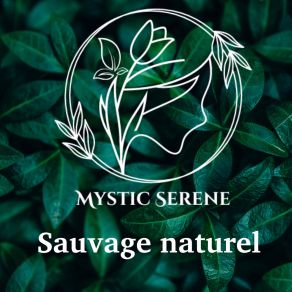 Download track Sable Du Désert Mystic Serene