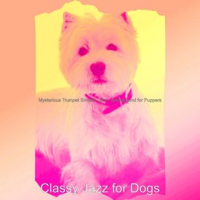 Download track Smooth Jazz Soundtrack For Sweet Dogs Classy Jazz For Dogs