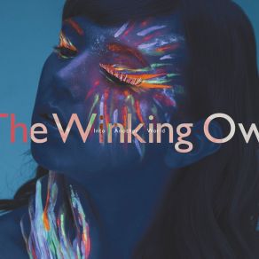 Download track Chain Of Emotions The Winking Owl