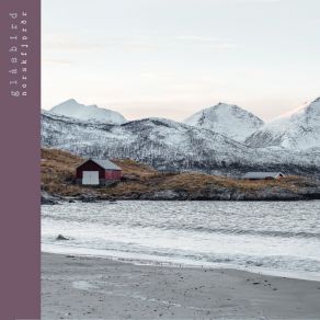 Download track Nåletrefjord Glasbird