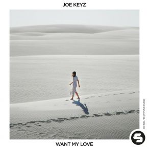 Download track Want My Love (Instrumental Mix) Joe Keyz