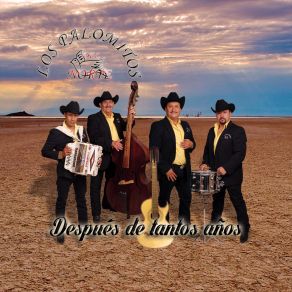 Download track Mi Juventud A Los 40 Los Palomitos Del Norte