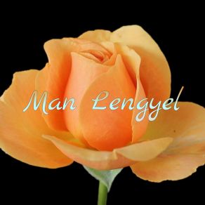 Download track Life Mastered Man Lengyel