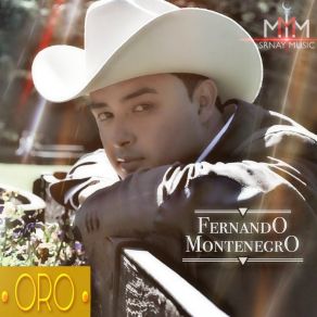 Download track Sigo Vivo Fernando Montenegro