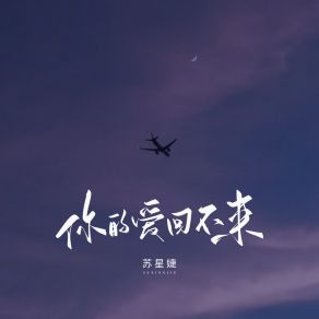 Download track 你的爱回不来 苏星婕