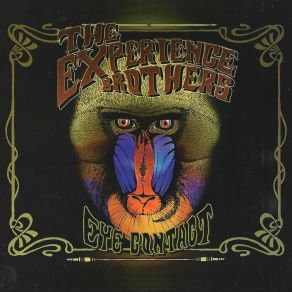 Download track Why Should I Care The Experience Brothers