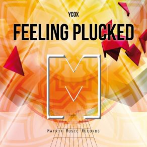 Download track Feeling Plucked Ycox